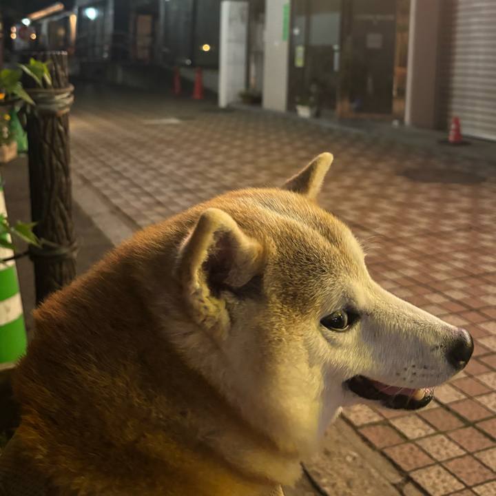 4e775840 6600 422b 880f e8fd33a5e21e 1747856793841