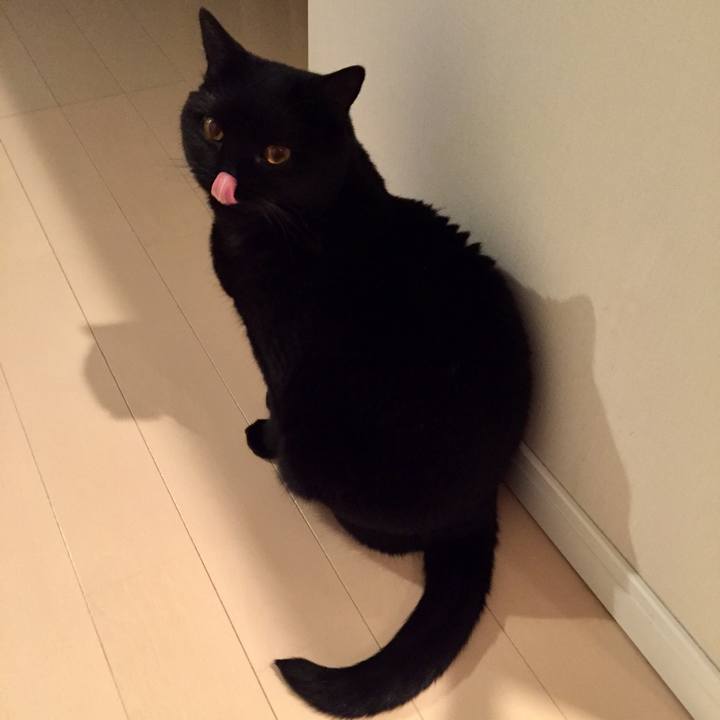 4e775e40 4454 4970 a9f5 c71b687e8da4 1587649304871