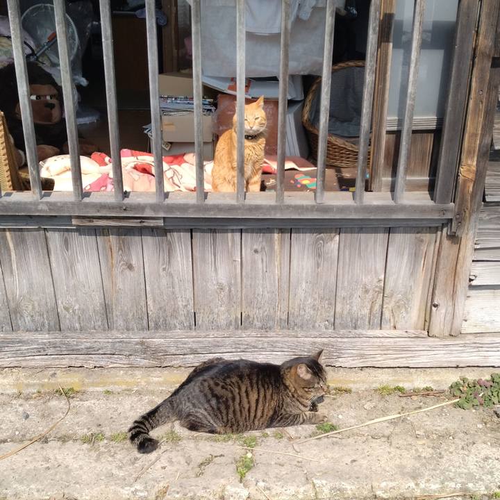 4e776a6c a192 4446 81c0 ff9db45671b9 1678330627395