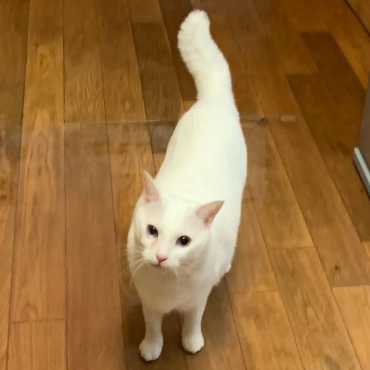 4e7772c3 8d1a 451d 8f82 b169ba3cd2c6 1637835691204