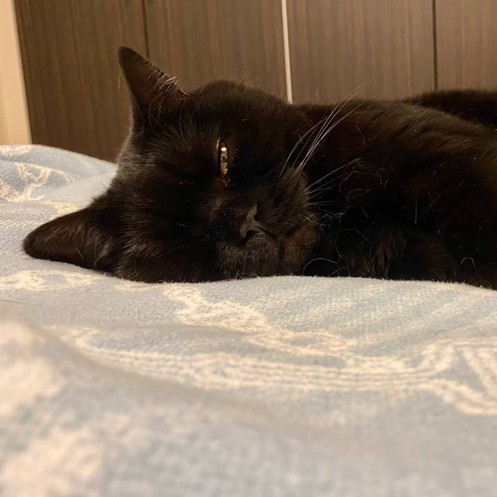 4e77884c 6d92 441e ba92 e819a8783fd0 1684156408898