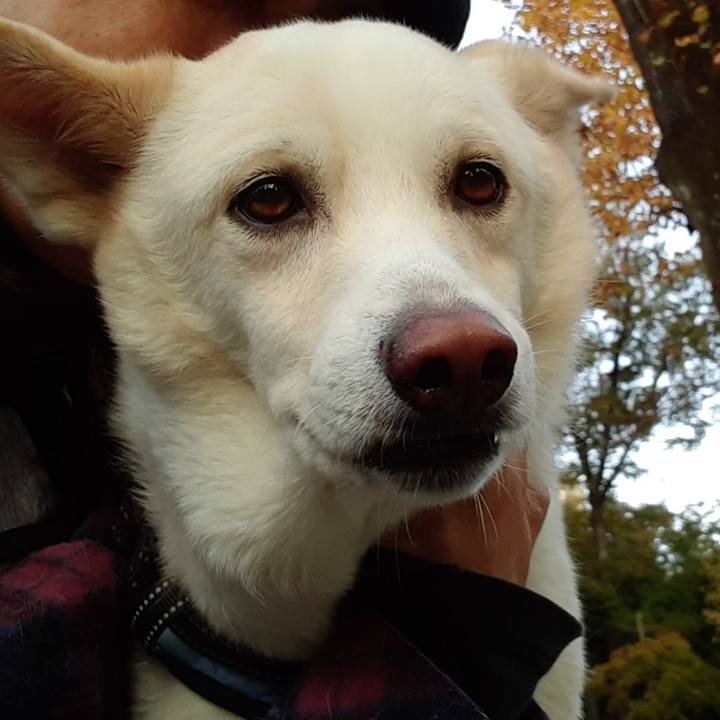 4e77d0fd d08b 46c9 80b9 070a567e8041 1667090703584