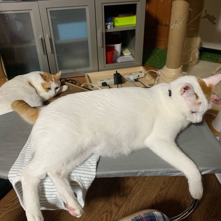 4e782295 a3dd 4dbc 9b98 f50de8506584 1570292102551