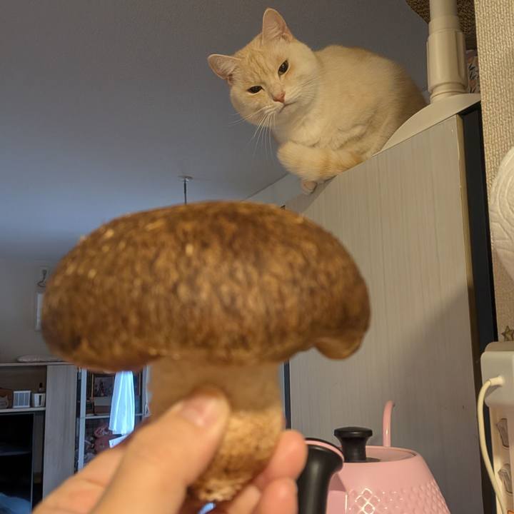 4e786a17 af18 4298 b479 47a63962f4fe 1766616636726