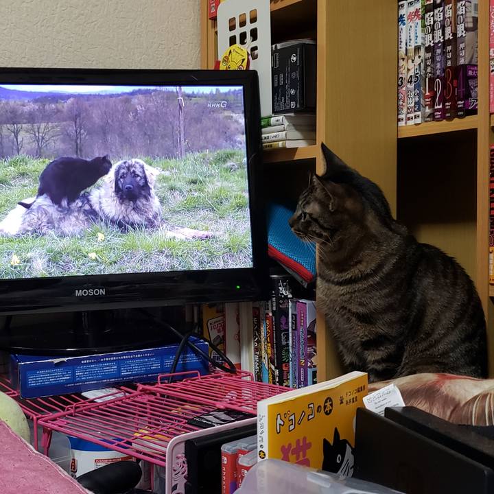 4e78ce58 b3ae 48c6 8d2e 51cd51c2c61d 1560078350338