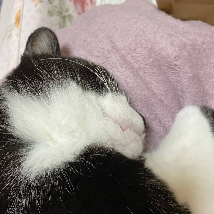 4e78d761 248d 4735 93e8 0e83fdab7ce9 1638764491416