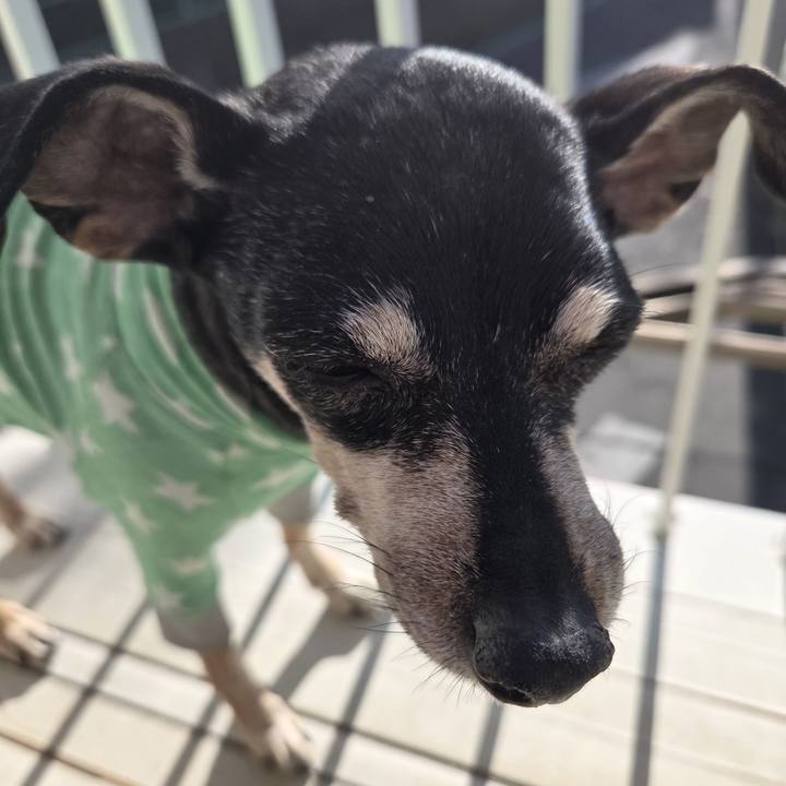 4e78eaa0 b1e7 423e b15a 5ddd58186d5e 1769750590885