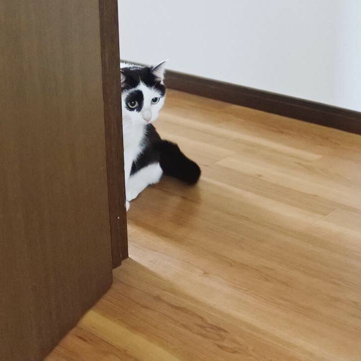 4e79c09c eb52 4bf5 a76f a7fc664c8e19 1542107989968