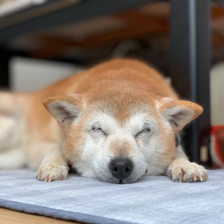 4e79c250 ee48 4d43 92ad b09a52a1745a 1573799480662