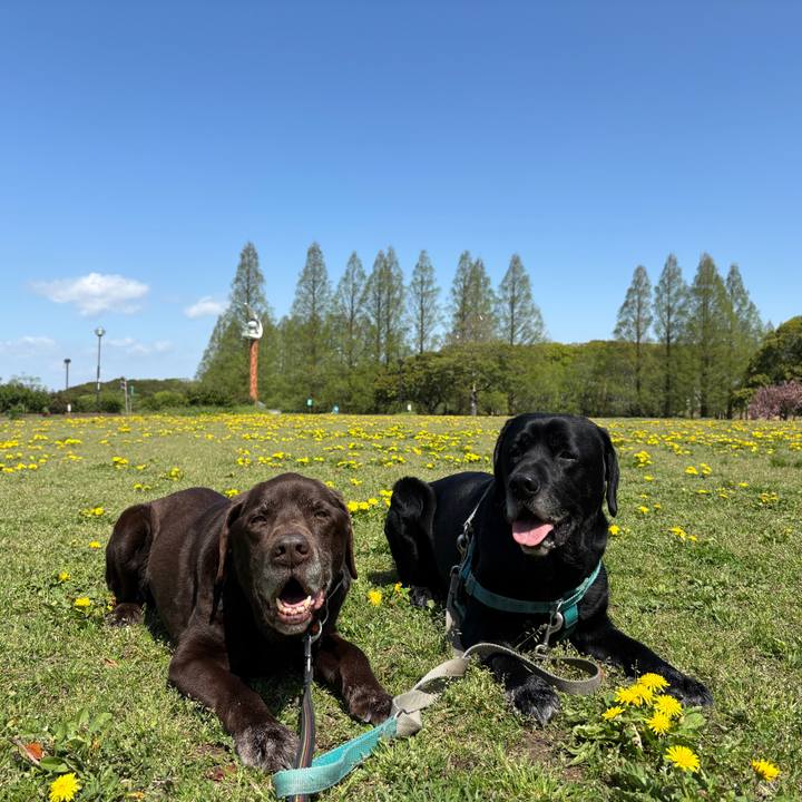 4e79d22b a485 4904 a7db dcc1b513f048 1775913859022