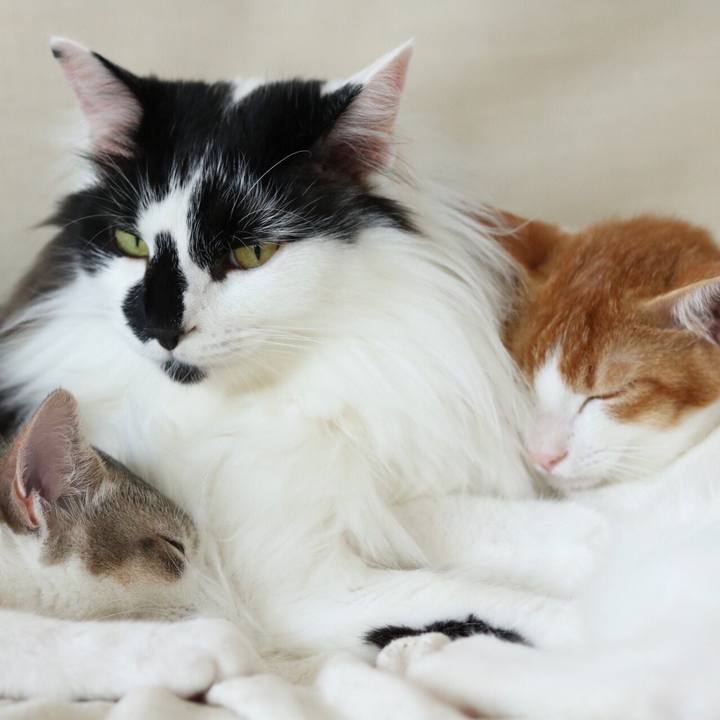 4e79f213 45ab 4292 860b 27e9fa479c99 1530013110716