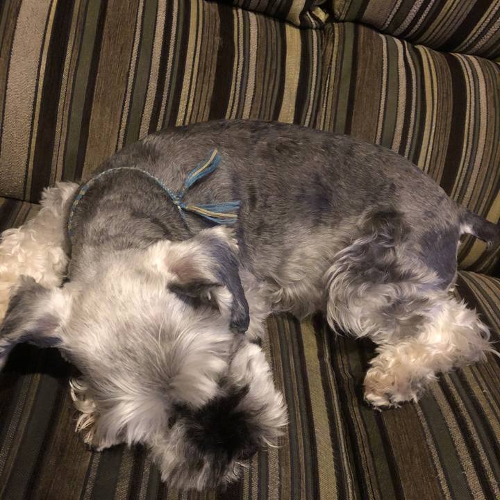 4e7a0525 c13c 4315 9f4d e3e64ea973e6 1563539140686