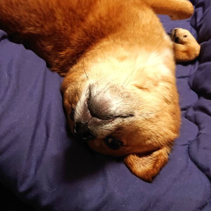 4e7a0c2f 04d0 4dfc b39c 4f7ba1b81a70 1560306694851