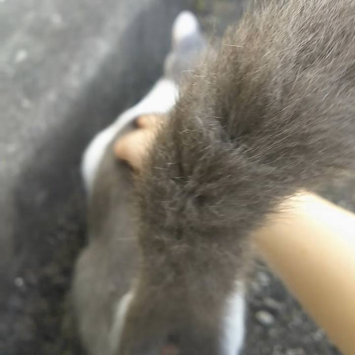 4e7a2a30 f403 449b b060 0d2a9afa2a71 1537246512235