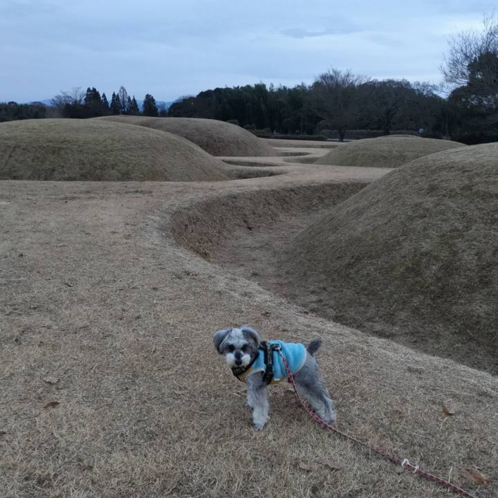 4e7a77c0 0051 460a b6ae c0abc5539f3e 1736068747012