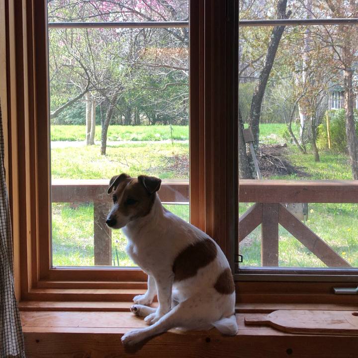 4e7abf7e f1a4 4025 bfb4 f0776b8c16bc 1604903901765