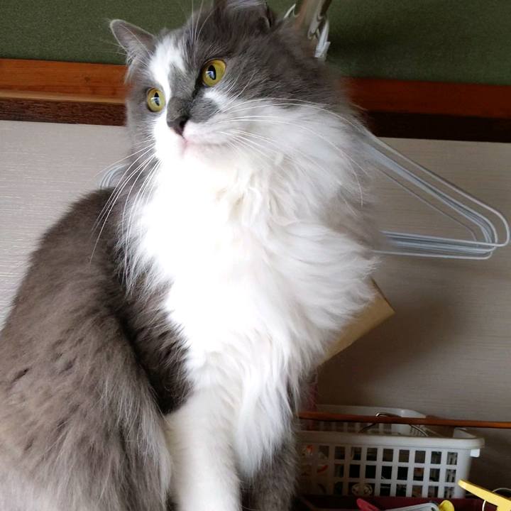 4e7b59dc b407 46ff 9b89 d0fa30351252 1615183426116