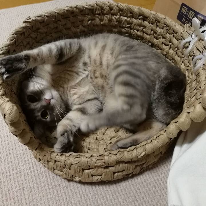 4e7b6c57 a2f8 4c39 94fa 34484e65932e 1524353786331