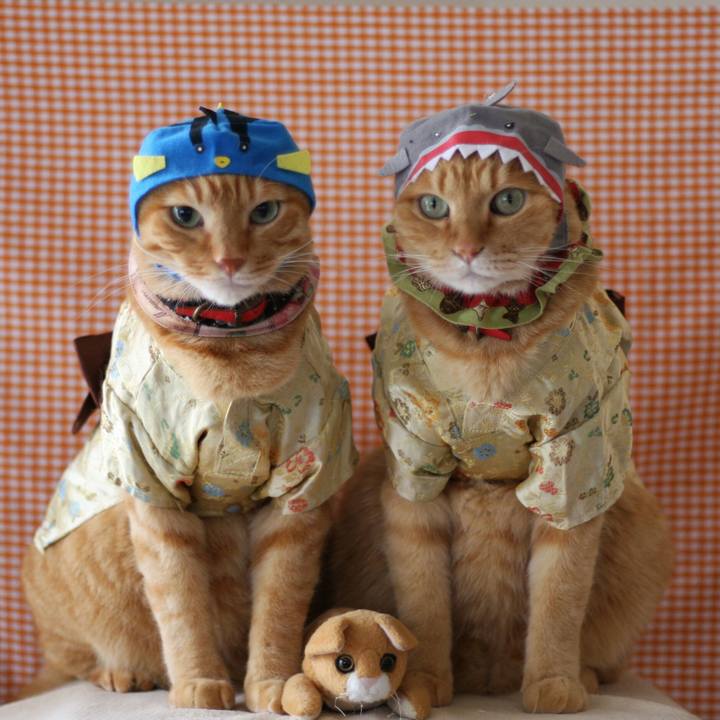 4e7c784b c8c7 4b0d adc9 707eec948c53 1512834383656