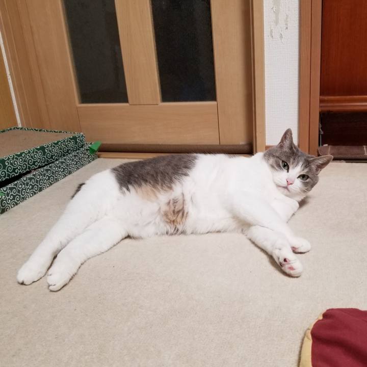 4e7c88db 6b16 4f49 a17f a5a9f8ddfbd3 1623337129003