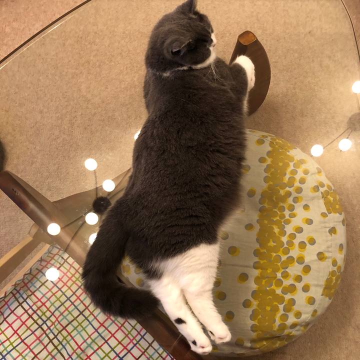 4e7c8fd5 f180 44c8 9d97 2c710ea4c29a 1542183257053