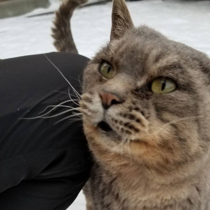 4e7c9778 ee5b 4e82 8e44 ae64946b1288 1547967753231