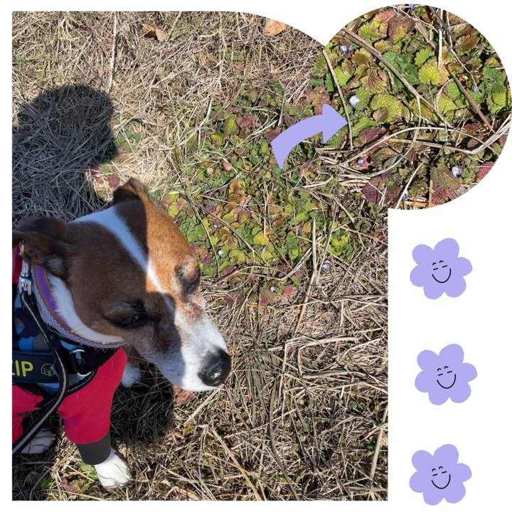 4e7c9b74 b622 4954 bf69 aed8a4fad1eb 1739520141617