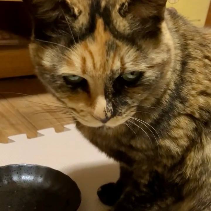 4e7c9f81 b959 4e75 9ebe ef5872a754a4 1741521169243