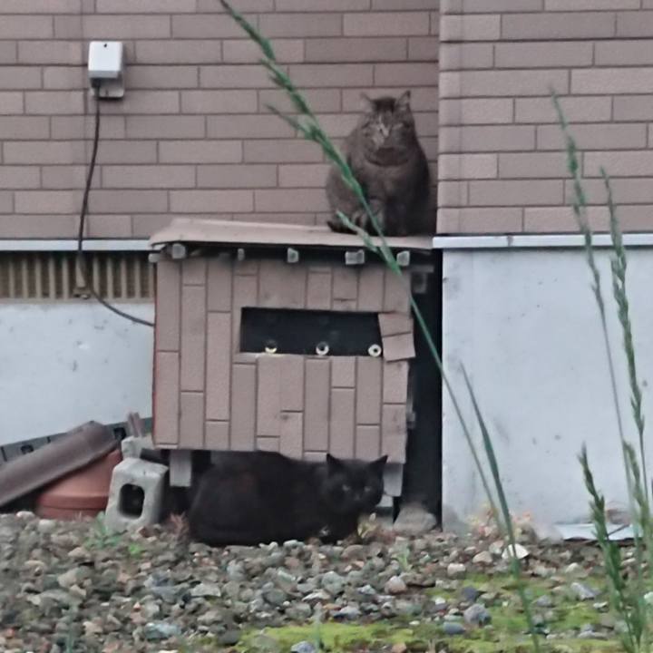 4e7cc641 0327 4b94 afc1 96992dad894d 1622111336684