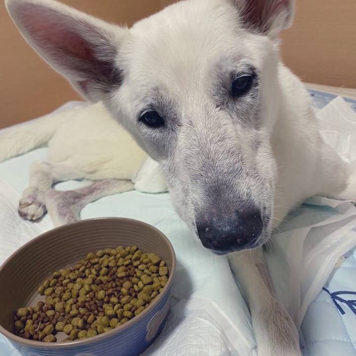 4e7cd2cc 5e0c 4dcb 84c2 a187dd852c92 1673502870559