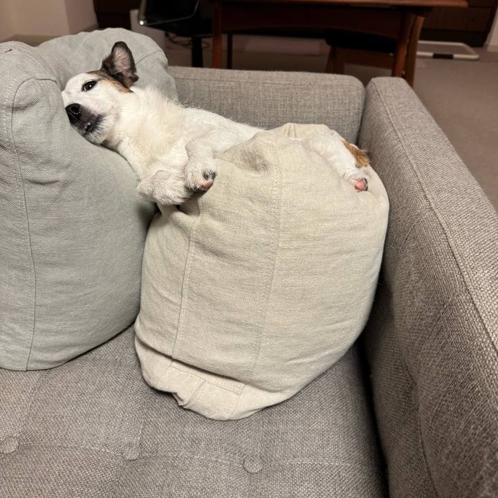 4e7cef26 3406 4608 a4fc a09161c1ea4e 1772558209185