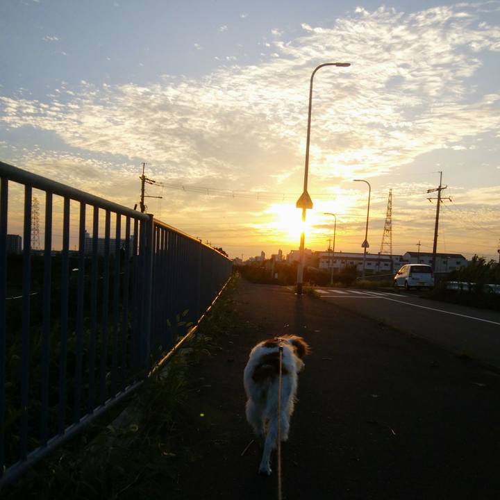 4e7d09fe 0266 428d a719 9e7e47e6e3e7 1536148560301