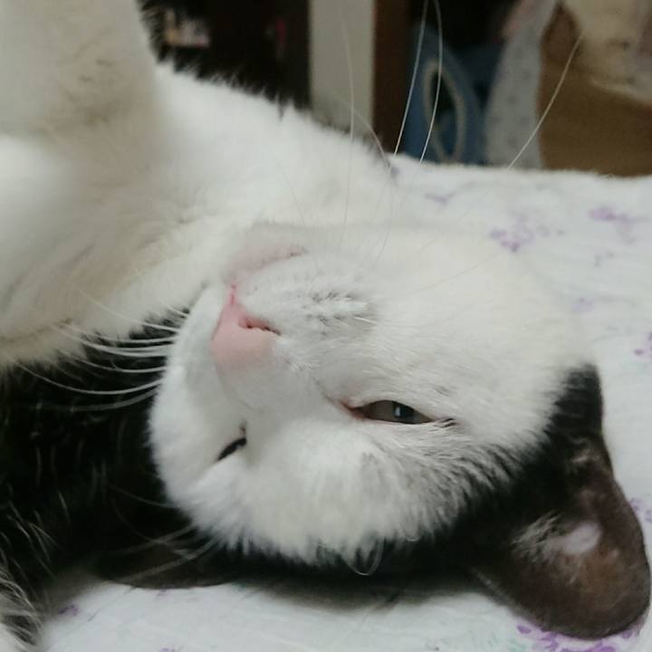 4e7d4408 674a 491d a61e 17137c99a389 1516502038082