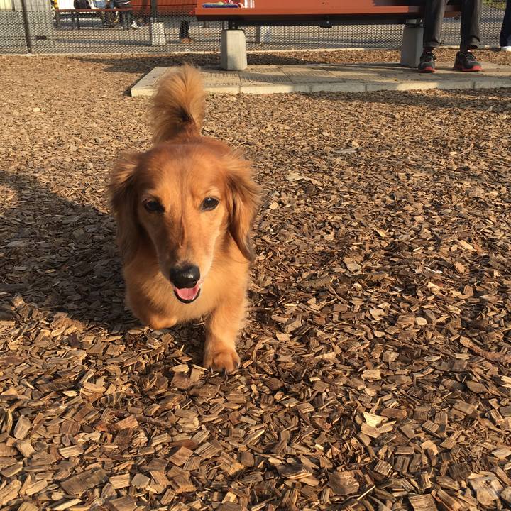 4e7d5838 5e66 493b ac83 f47586fe61a3 1540727026094