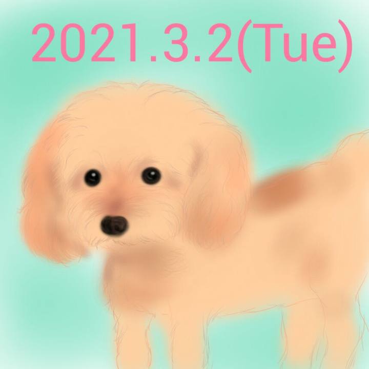 4e7da31c f6ee 46e9 a037 b0e1ac6a93e8 1614688480755