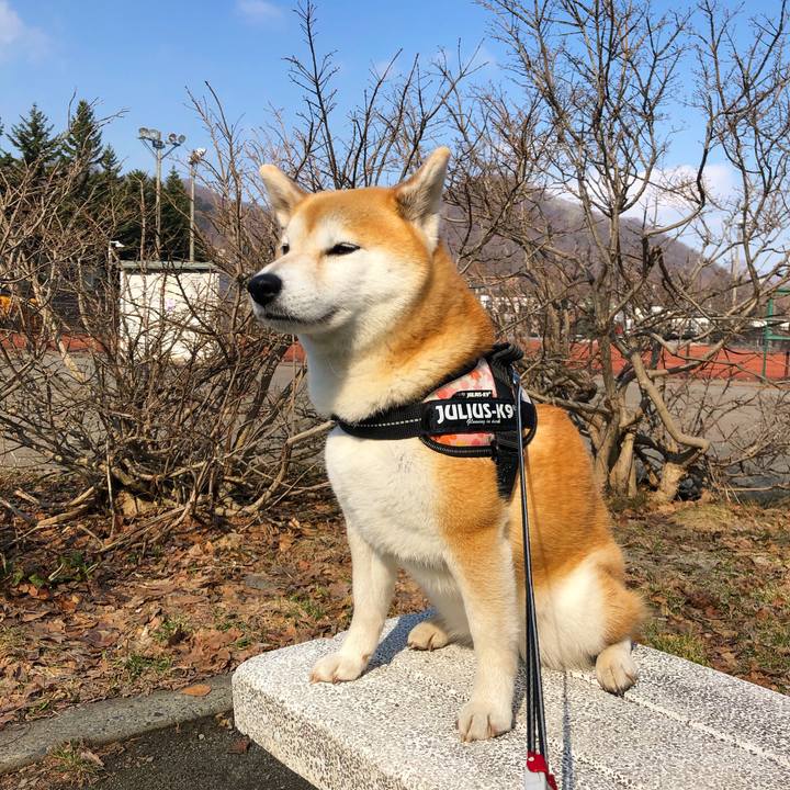 4e7dafb6 0ff1 4c87 87d7 4e2864a03580 1586315997002