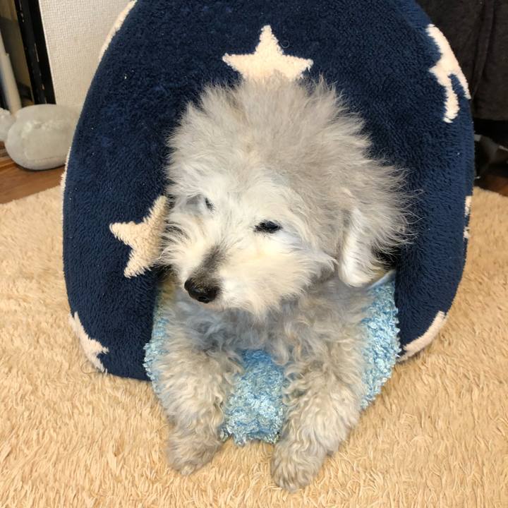 4e7dec82 d22c 4823 8711 b065a1615371 1700488579137