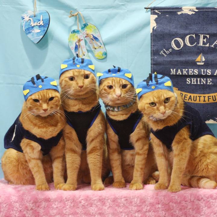 4e7e0dd7 e5ec 471b 9f47 42c840266400 1691320157474