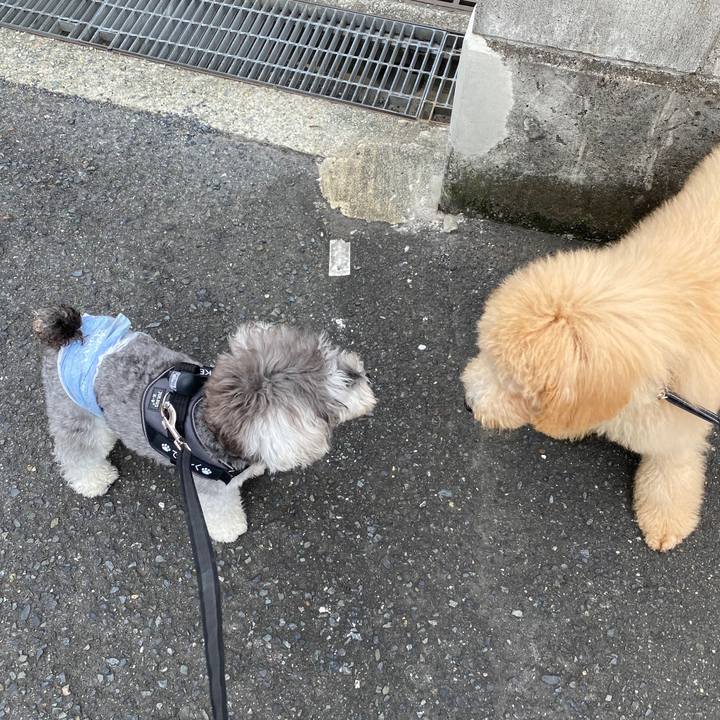 4e7e2837 9bd8 446a bbe6 38e969aad9e6 1597293511296