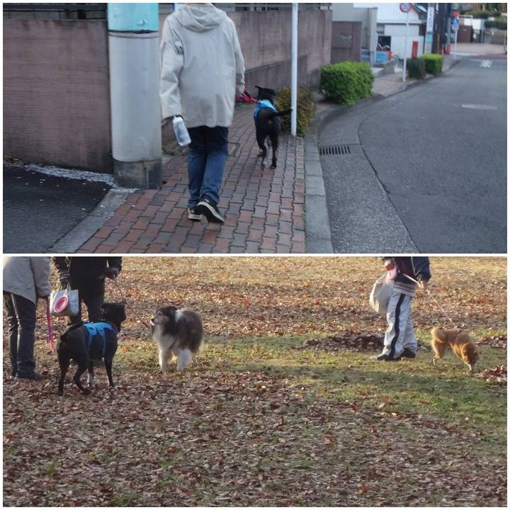 4e7e52b5 6473 411b ad11 0c671f04ebb9 1607646190788