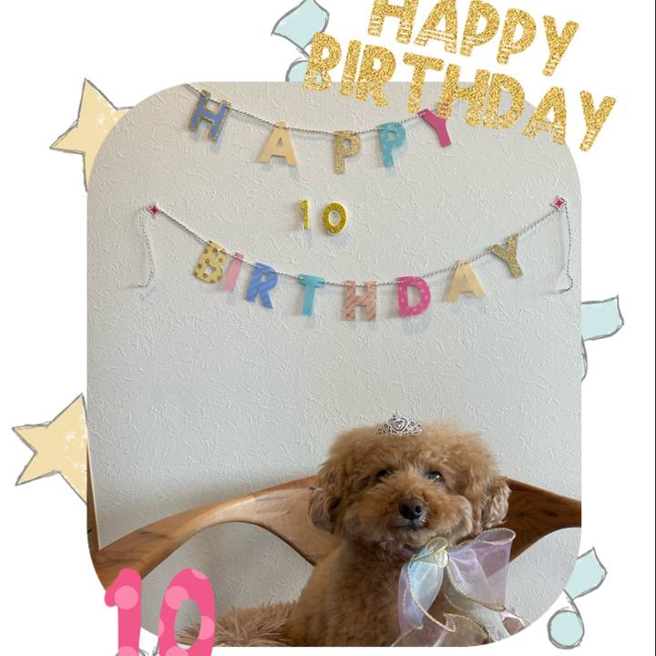 4e7e5367 6e52 4cd9 9778 873e9a636ce1 1681534853091