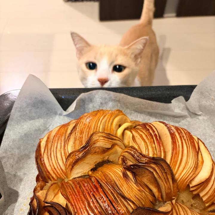 4e7eace7 2096 45f2 aacc d89dc8f56c73 1766225220133