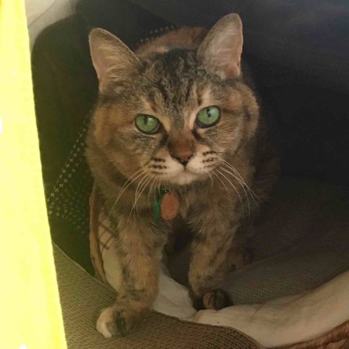 4e7eb4b6 e64f 4b92 9aa9 cd7f98ad1d1f 1716259542273