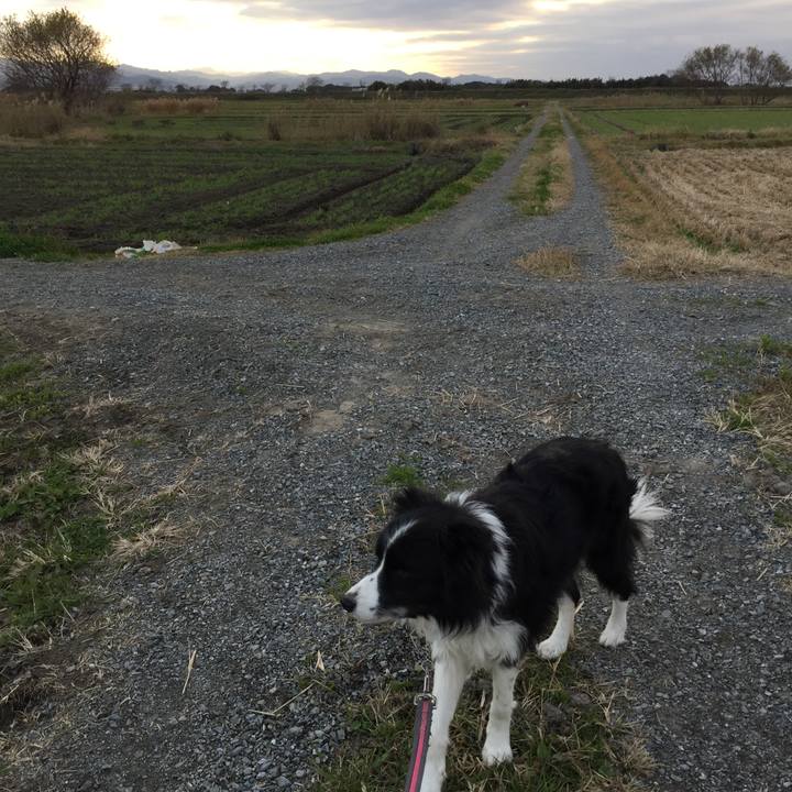 4e7ebec3 5699 4031 a2e4 1d3489ed6f15 1576109520825