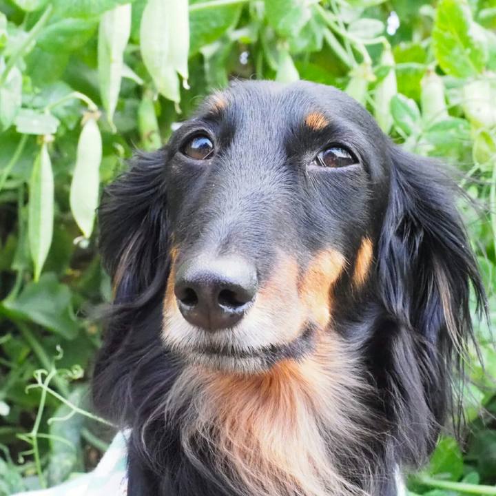 4e7ec4d5 97b8 49e7 9d20 af6956ec1eab 1589440227832