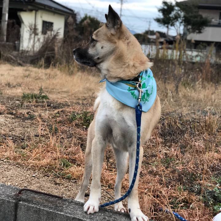 4e7ee7e4 fe08 4c3a b176 adda2d0e1b57 1578574153753