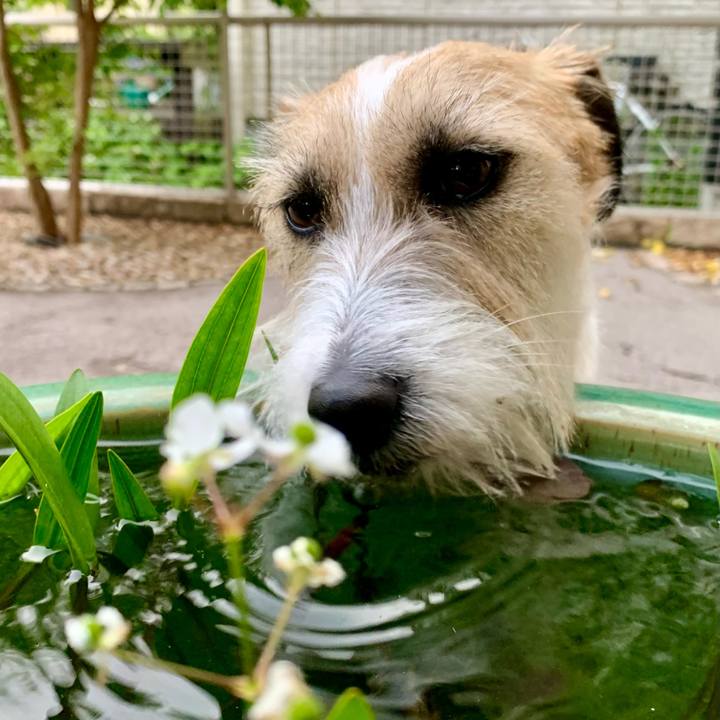 4e7f1c99 3c8b 401a 9d58 149cd2be596a 1684407702189