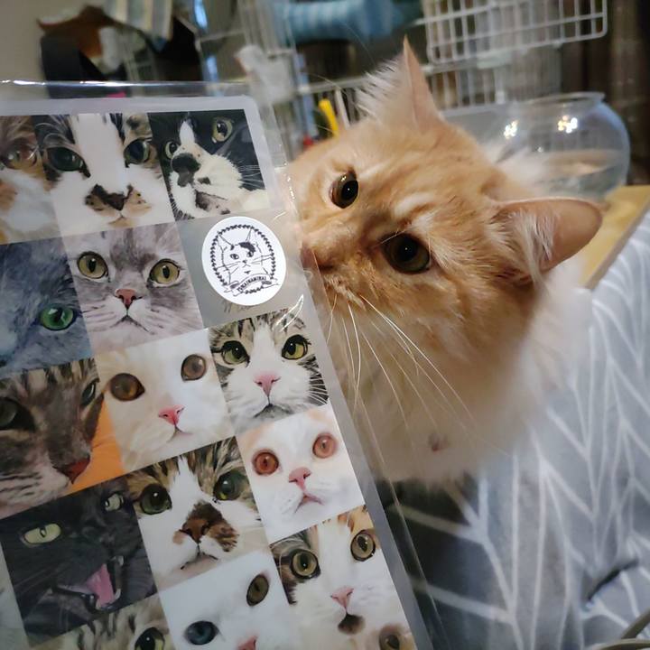 4e7f1eb2 b346 4c63 ba0a 469daf087c09 1708765947739