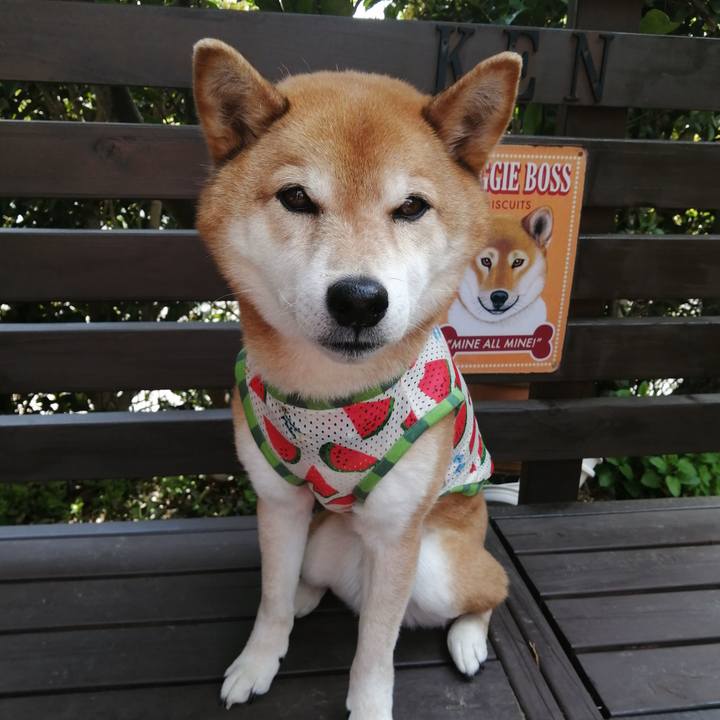 4e7f3ed4 d4b2 4c7f b1b8 717f663a8f82 1681788151196