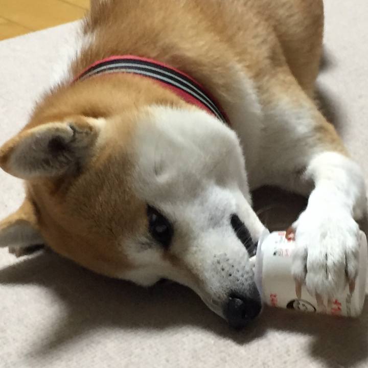 4e7f712d 39ff 4b5f a1c3 a93d03a96cde 1512341438898